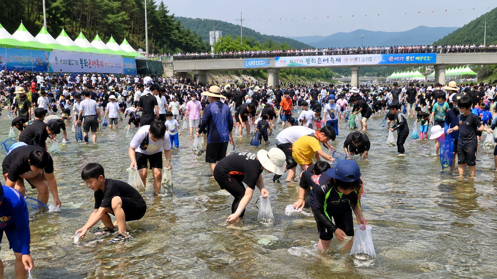 봉화은어축제