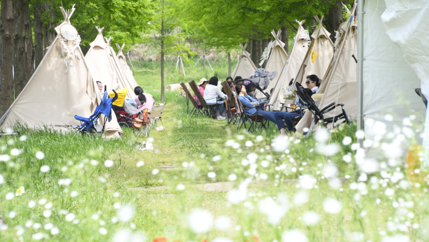 함평나비대축제